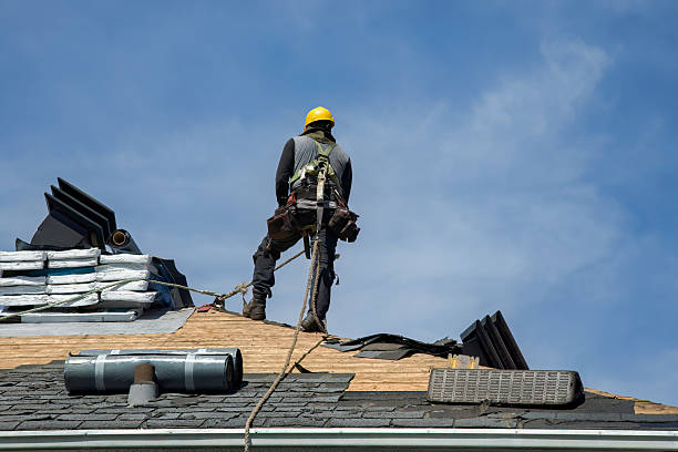 Professional Roofing technician working in Prairie City, IL